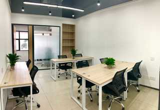 北京剪股颖草坪报价